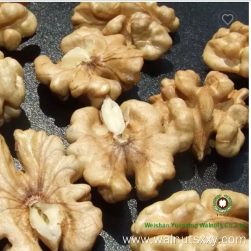 Low Price Top Quality Walnuts kernels light color Bulk